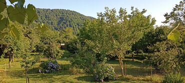 Uzunmüddətli kirayə mənzillər: Salam zaqatala car kendindedi ev internet qaz su her weyi var yolun -da lalafo.az — 8 Uzunmüddətli kirayə mənzillər: Salam zaqatala car kendindedi ev internet qaz su her weyi var yolun — 8