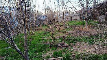 Продажа коттеджей и домов: Продается дом с большим участком.Коммуникации все — 8