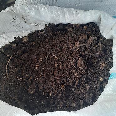 Salam buzovnada quru peyin satılır 10 dənədir bir kisə 4 manatdir