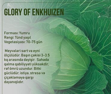 Toxumlar: Aluzze qarpiz toxumu — 26