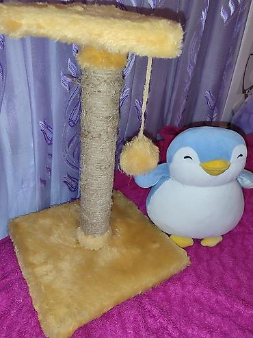 toy pudil: Pişik üçün tirma və oyun stanoku - Material: sisal iplə bərkidilmiş — 1