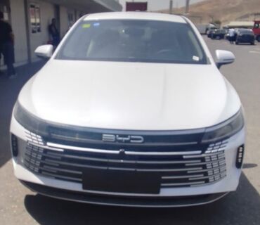 BYD Destroyer 05: 1.5 l | Sedan