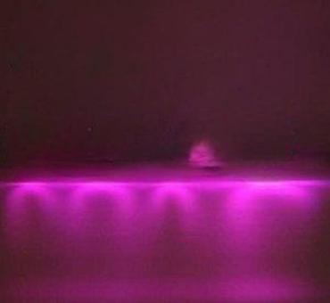 Sijalice: NEON FLEX CREVO SA ISPRAVLJAČEM PINK | *U ponudi i u drugim — 20