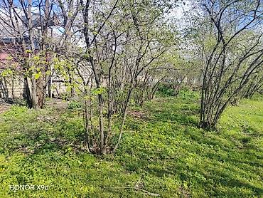 Torpaq sahələrinin satışı: Azərbaycanın ən gözəl guşələrindən biri olan Oğuz rayonu Xaçmaz — 15