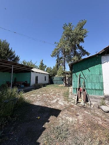 Продажа коттеджей и домов: 4 комнаты, 58 м², 29 соток, Петровка, Риэлтор — 13