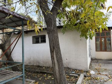 Həyət evləri və villaların satışı: Montin 1 otaqlı, 20 kv. m