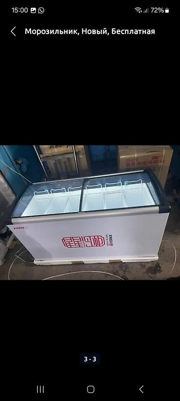 Морозильные шкафы, лари: В наличии — 55