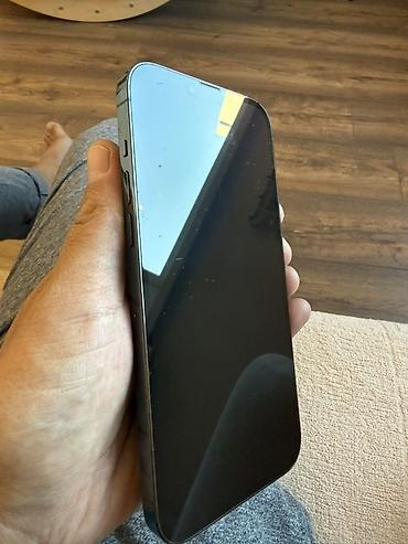 ipone 8plus: IPhone 13 Pro Max, цвет Alpine Green (альпийский зелёный) - Дисплей — 4