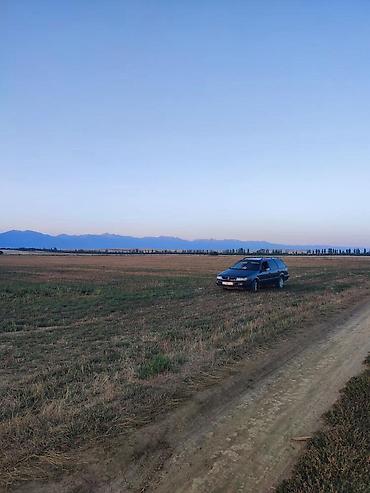 Volkswagen: Volkswagen Passat Variant: 1994 г., 1.8 л, Механика, Бензин, Универсал — 1