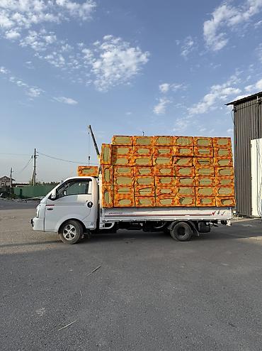 Унаа сатуу: Hyundai Porter: 2020 г., 2.5 л, Кол менен иштөөчү, Дизель, Лимузин — 2