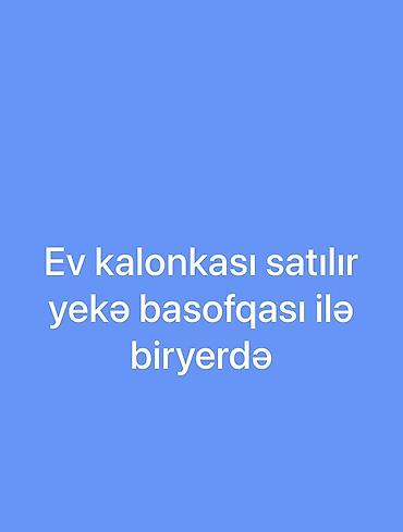 kalonka dinamik: Ev üçün səs sistemi satılır – kalonka + böyük basofka (subwoofer) bir — 1