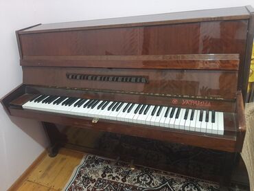 Pianolar: Piano, Akustik