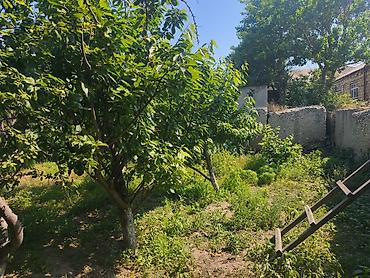 rufat aynur emlak: Sumqayıt, 4 kv. m, 1 otaqlı, Hovuzsuz — 6