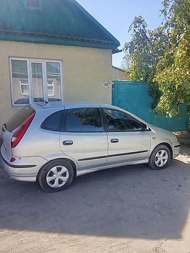 11 00r20: Nissan Almera Tino: 2001 г., 1.8 л, Механика, Купе — 2