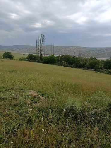 bartee: 300 sot, Kənd təsərrüfatı, Barter mümkündür, Kupça (Çıxarış) — 7