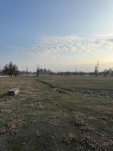 земля в токмоке: 280 соток, Для бизнеса, Красная книга — 6