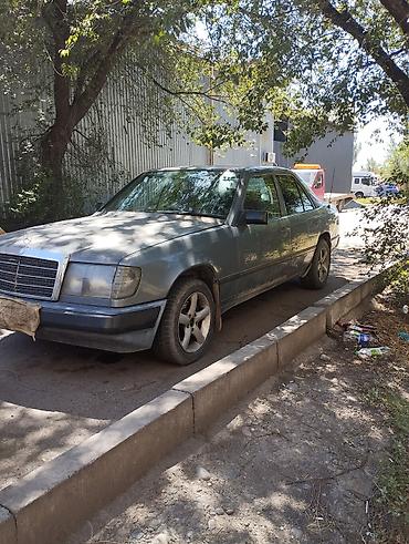 меерс 124: Mercedes-Benz W124: 1989 г., 2.3 л, Механика, Бензин, Седан — 4