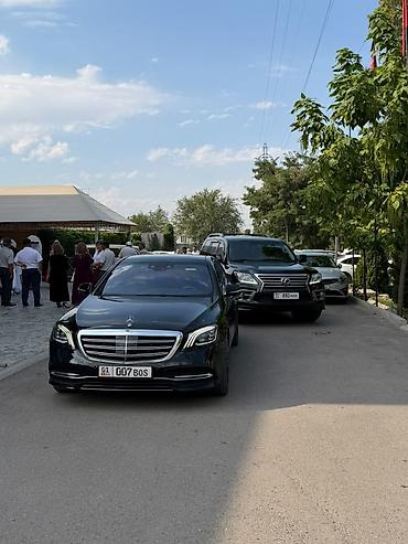 мрс 124: Сдаю Mercedes-Benz S-Class для кортежа, С водителем, Седан — 1