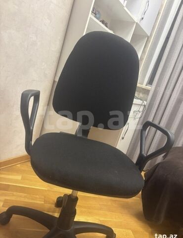 Растения: Ofis/stul – təkərli, qara rəng - Rahat oturacaq və bel hissəsi
