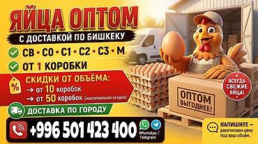 кресло руководителя цена бишкек: Яйца оптом с доставкой по Бишкеку - Размеры/категории: СВ, С0, С1 — 1