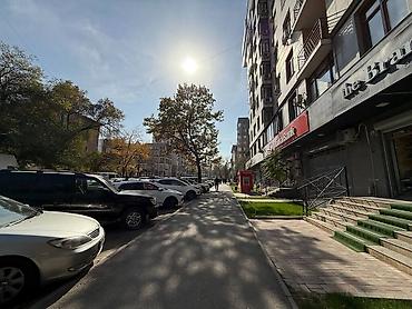 230: 3 комнаты, 118 м², ул. Киевская / Уметалиева Элитка, 7 этаж, Евроремонт — 8