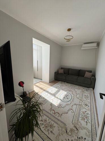 серая персидская кошка: 2 комнаты, 50 м², Элитка, 5 этаж, Евроремонт