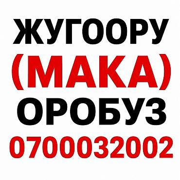 ржаной солод: Жугоору (мака) оробуз. Натуральный продукт, известный как мака — 1