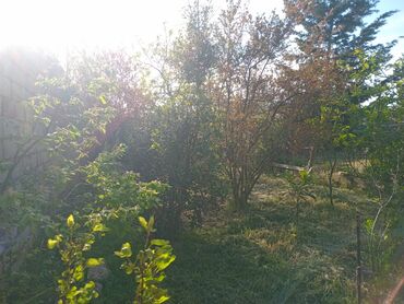 Bağ evlərinin satışı: Bakı, Bahar, 6 kv. m, 6 otaqlı, Hovuzlu, İnternet, Telefon, Qaz — 4