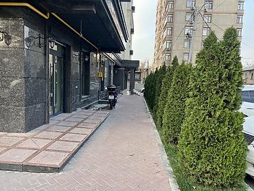 о2 политех: Аренда коммерческого помещения в современном жилом комплексе — 2