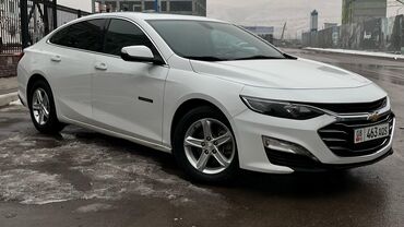 новые зимние шины: Chevrolet Malibu: 2019 г., 1.5 л, Автомат, Бензин, Седан