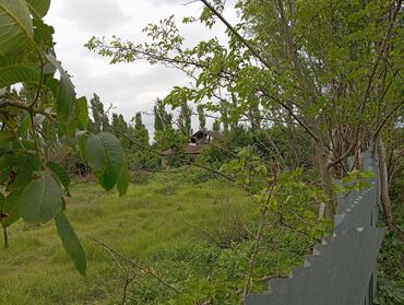 Torpaq sahələrinin satışı: Tikinti — 9