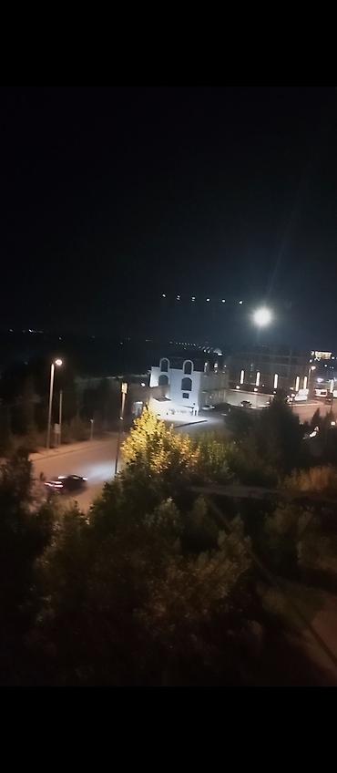 приют для животных в баку адрес: Mənzil kirayə verilir yeni Gəncə köhnə meronun yanı yalnız Ailəli — 3