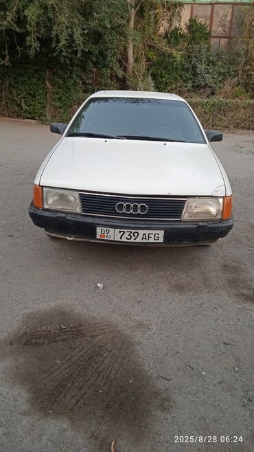 решетка на виндом: Белый седан Audi 100 с двигателем объемом 2.3 литра. Автомобиль