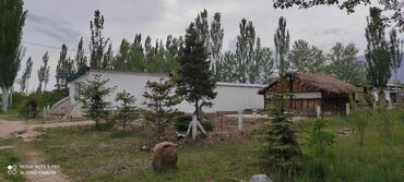 Продажа участков: 450 соток, Для сельского хозяйства at lalafo.kg — 11 Продажа участков: 450 соток, Для сельского хозяйства — 11