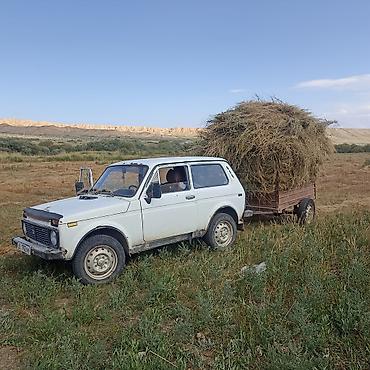 82 1: ВАЗ (ЛАДА) 4x4 Нива: 1997 г., 1.7 л, Механика, Бензин, Седан — 4