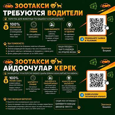 ош эко такси: Требуется Водитель такси - С личным транспортом, 3-5 лет опыта, Техподдержка, Подработка, Старше 23 лет — 1