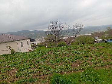 Torpaq sahələrinin satışı: Kənd təsərrüfatı — 4