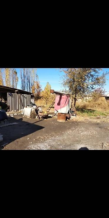 Продажа коттеджей и домов: !!!Срочно!!! Продается дом с участком 15 соток в тихом местечке — 4