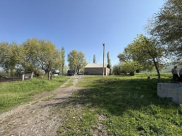 Срочно Сарай сатылат Беловодскийдин усту жагында алма бактары бар