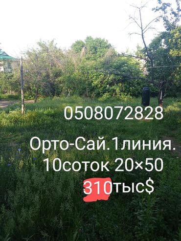 земельный участок в караколе: 10 соток, Для строительства, Красная книга, Тех паспорт, Договор дарения