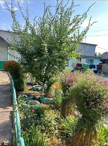 полтавка: 🏡 ПРОДАЁТСЯ УЮТНЫЙ ДОМ В СЕЛЕ ПОЛТАВКА! 📍 Жайылский район, ул — 3