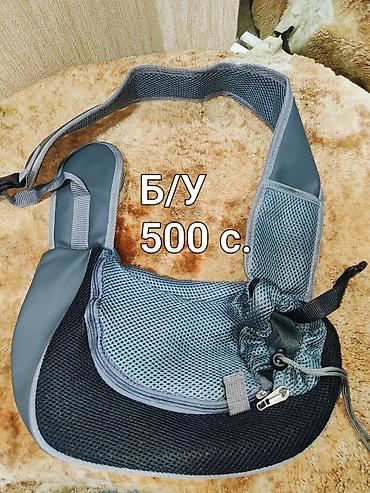 Зоотовары: Набор аксессуаров для кошки.1500 с Все товары новые, кроме лотка. В — 4