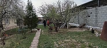 Продажа коттеджей и домов: Продаётся дом Арча Бешик с участком с двором и постройками. участок — 7