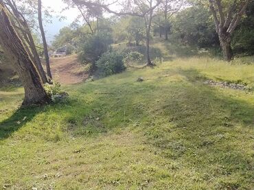 qubada torpaq: 55 sot, Mülkiyyətçi, Kupça (Çıxarış)