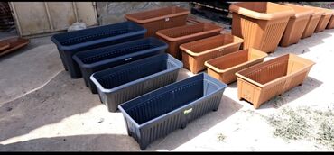 Digər gözəllik və sağlamlıq xidmətləri: Dibcek ucun hasar ceper gul ucun ceper hasar dibcekler ucun hasar -da lalafo.az — 25 Digər gözəllik və sağlamlıq xidmətləri: Dibcek ucun hasar ceper gul ucun ceper hasar dibcekler ucun hasar — 25