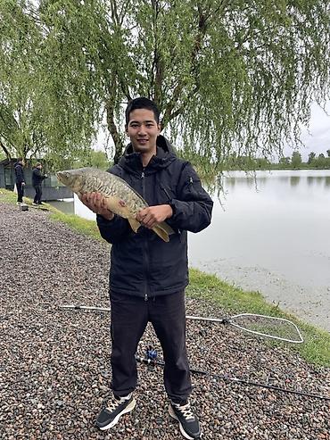 Долгосрочная аренда комнат: 11 м², С мебелью — 11