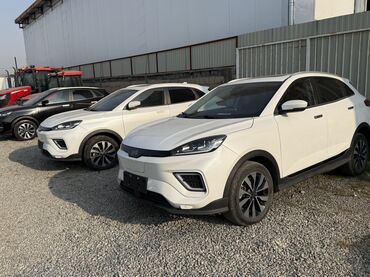 Weltmeister: Weltmeister EX5, 2022 г., 54721 км — 1