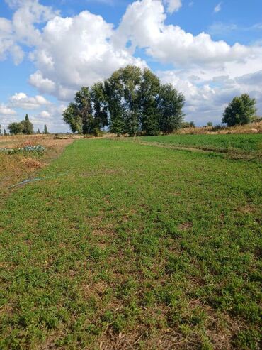 Продажа домов: Дом, 120 м², 5 комнат, Собственник, Евроремонт — 4