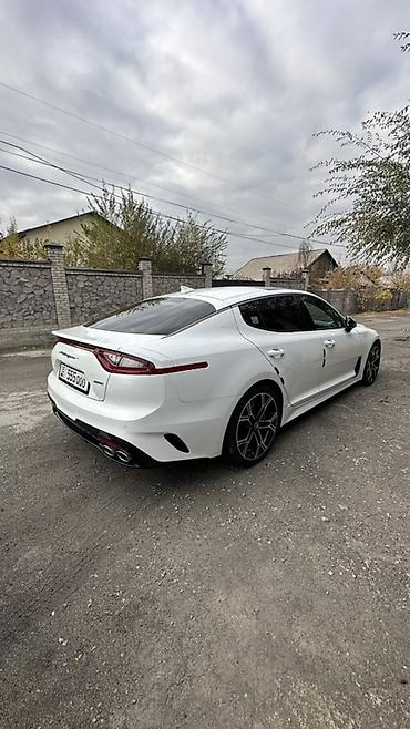 Kia: Kia Stinger: 2018 г., Бензин at lalafo.kg — 2 Kia: Kia Stinger: 2018 г., Бензин — 2