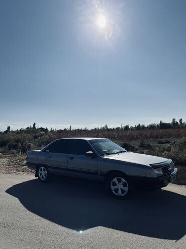 торпеда пассат б3: Audi 100: 1987 г., Седан